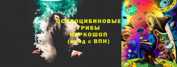 гидра Верея