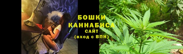 гидра Верея