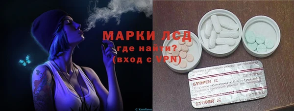 гидра Верея