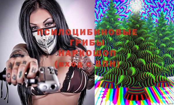 гидра Верея